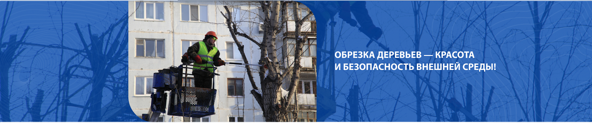 Обрезка деревьев Обрезка деревьев